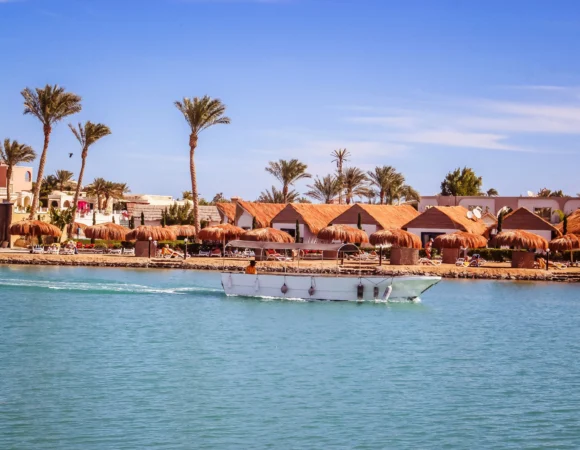 Dive into the Magic of Sharm’s Underwater World