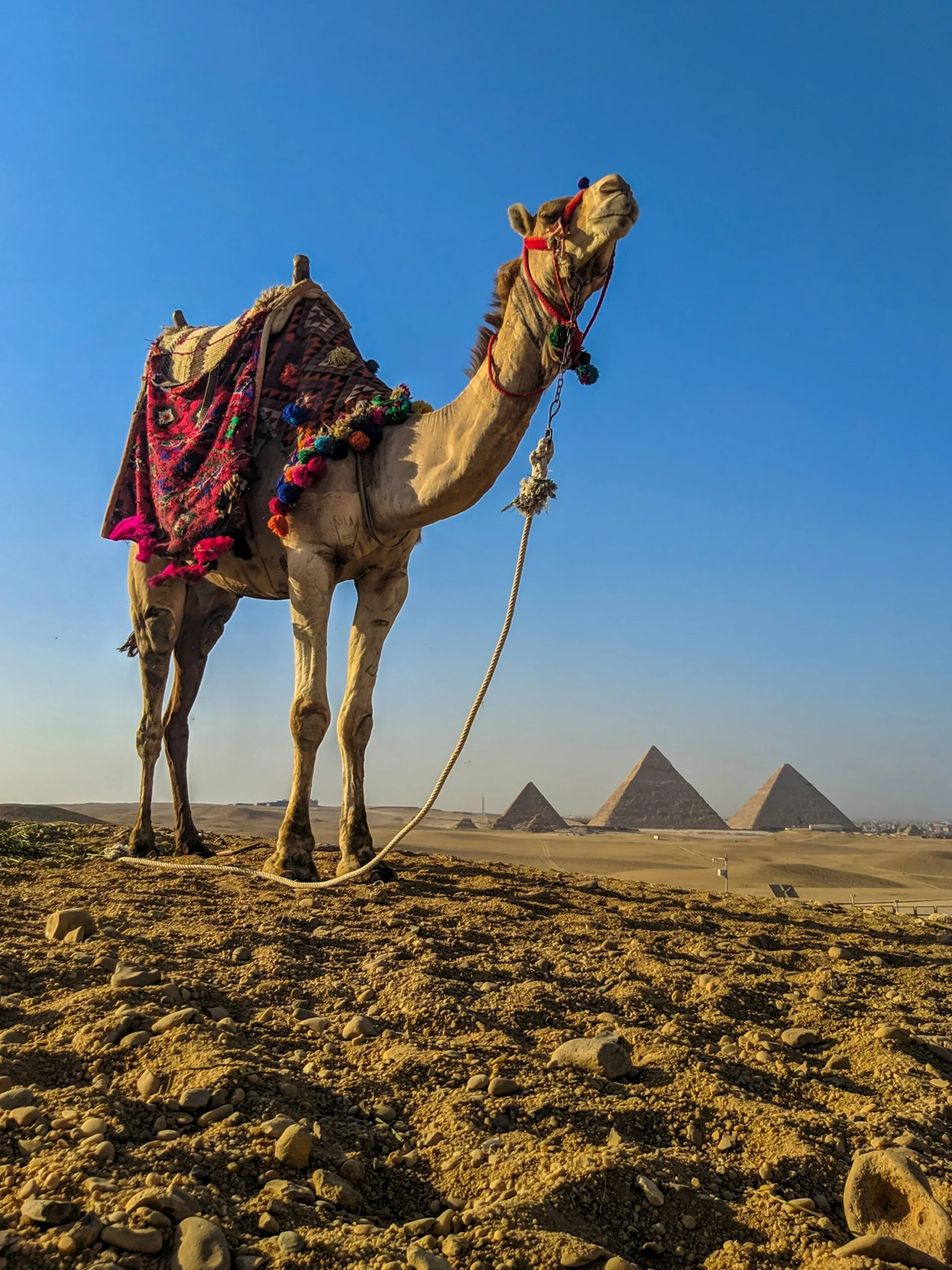 Cairo Day Tour from Hurghada – Private Tour